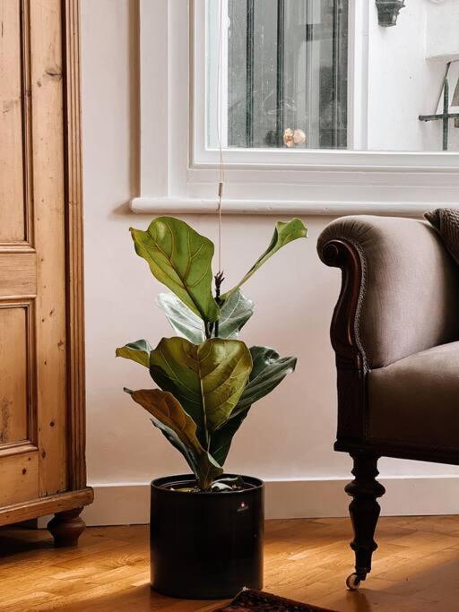 Stunning Victorian Mansion Apartment - Hosted By Agf Property - Free Parking Upon Request Hove Extérieur photo